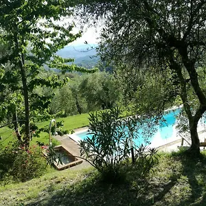 Loggia Del Centone Matraia